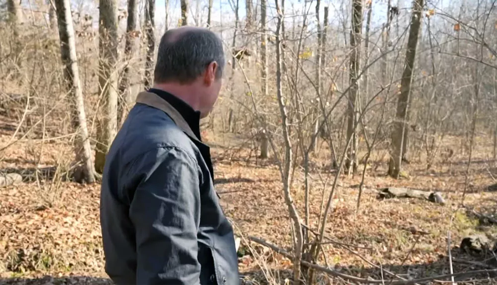 Woods Woods