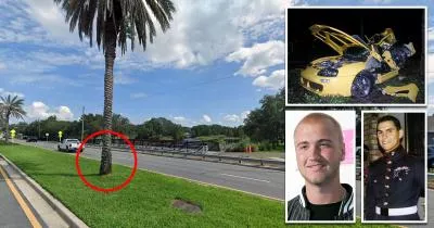 Nick Hogan's crash site Nick Hogan's crash site