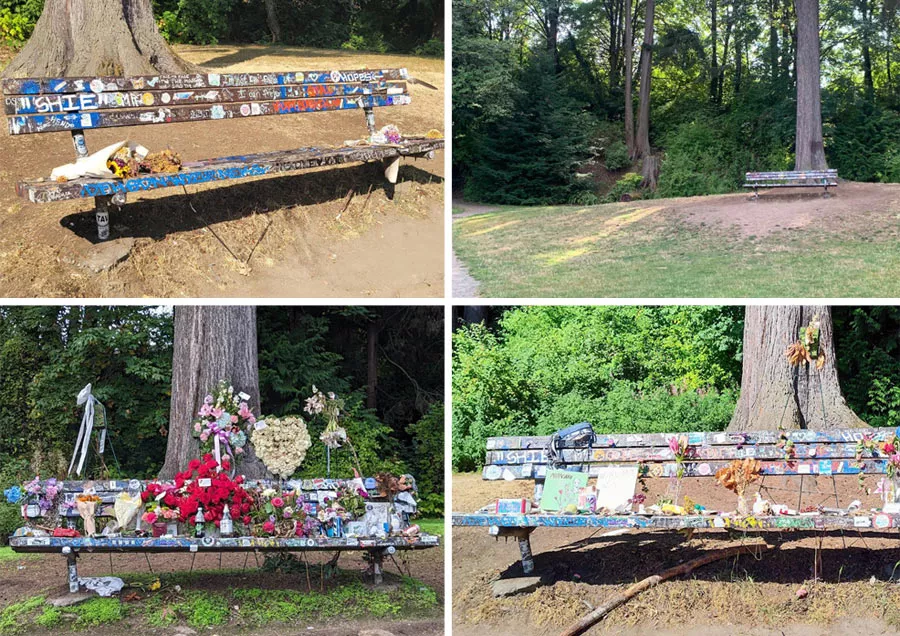 The bench in Viretta Park