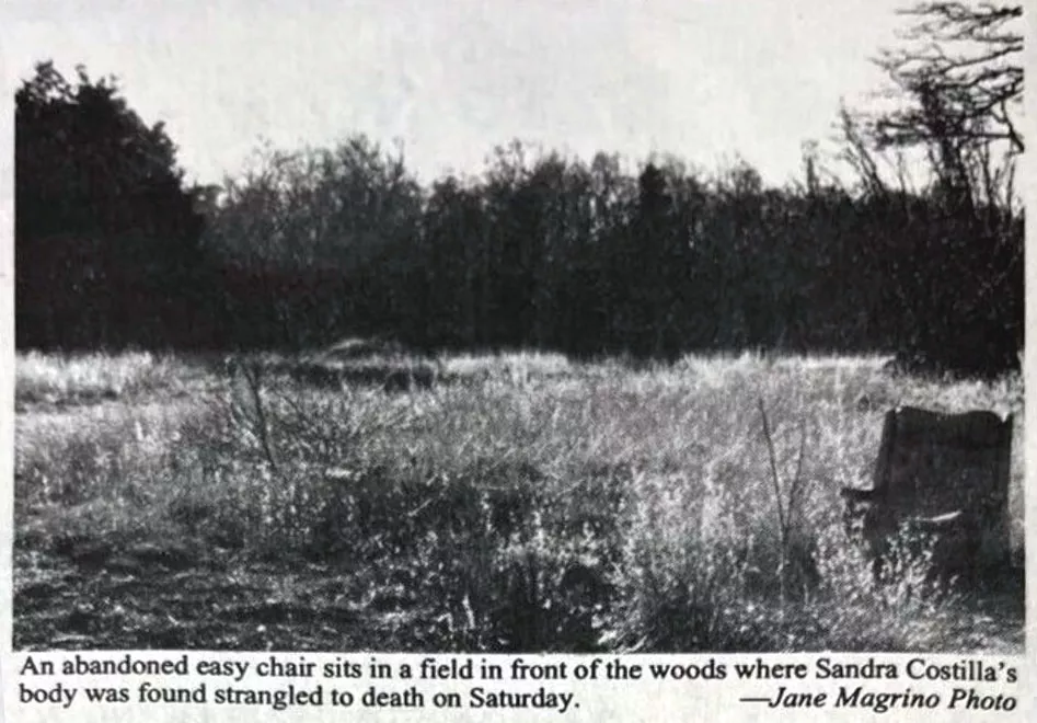 A 1993 photo of the wooded area behind the former Fish Cove Inn.