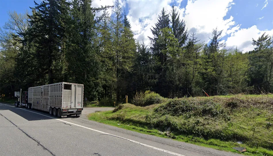 The entrance to Bundy's Taylor Mountain site.