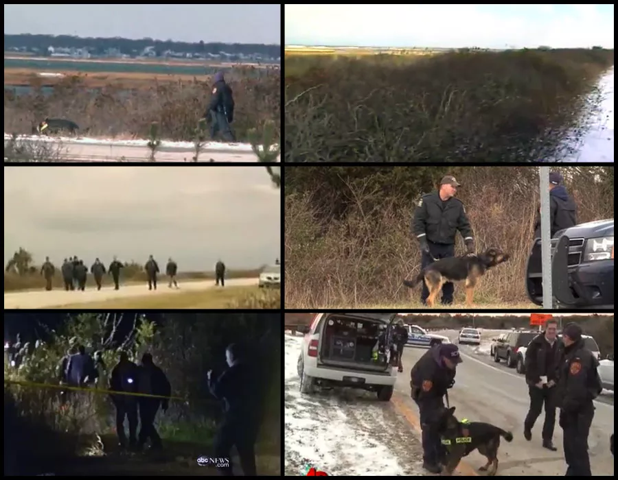 Screenshots of news footage of the 2010 search at Gilgo.