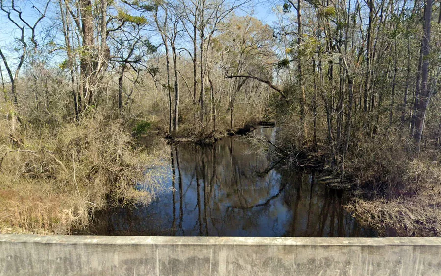Gum Swamp off Pea Bridge Road